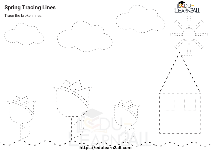 zigzag line & flower 