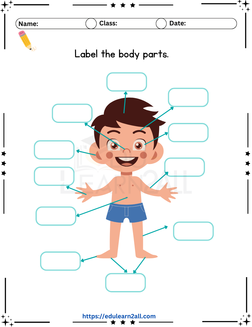Parts of a Body Worksheet label body parts