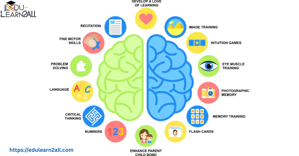 Early Childhood Brain Development Research Understanding the Foundation of Lifelong Learning